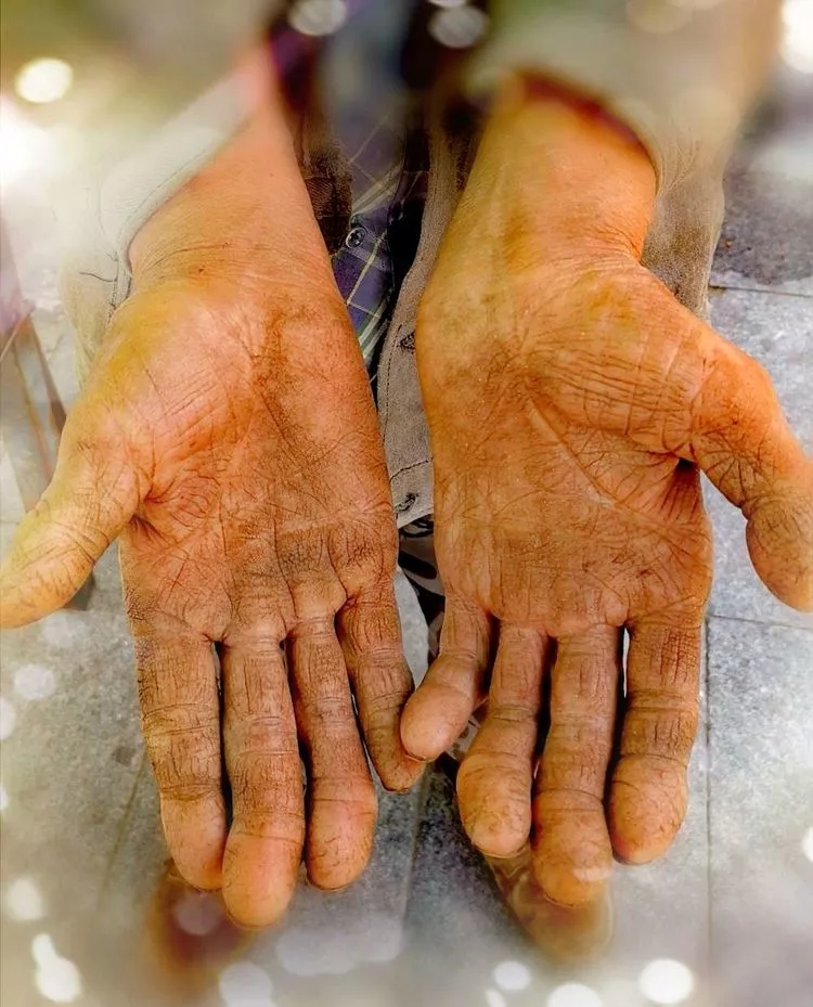 70年来一双双长满老茧的手成就了这茂密的森林