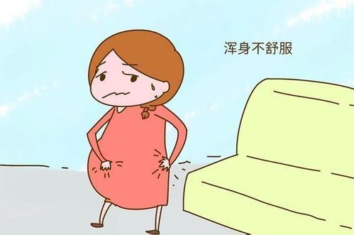 为什么怀孕后总是觉得特别累?孕妈应该多休息还是多运动?