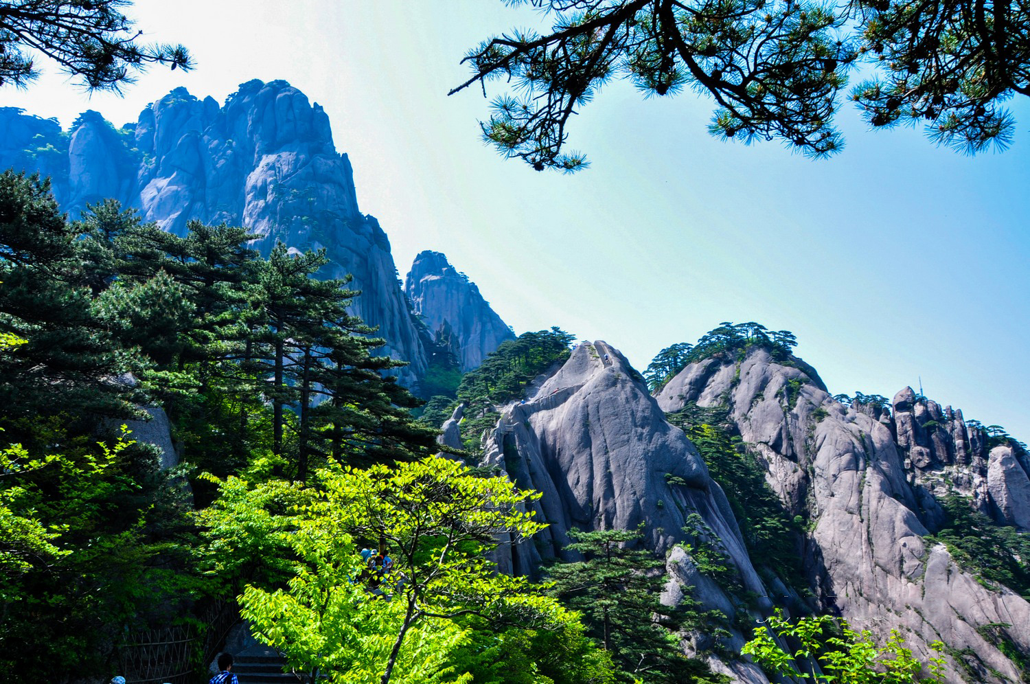 "三山五岳"之安徽黄山风景实拍