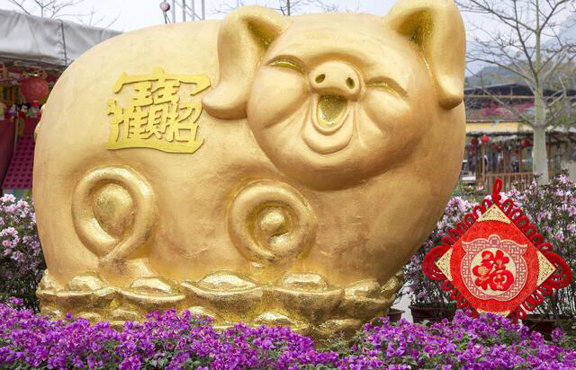 咸鱼翻身生肖运势(咸鱼翻身生肖运势)