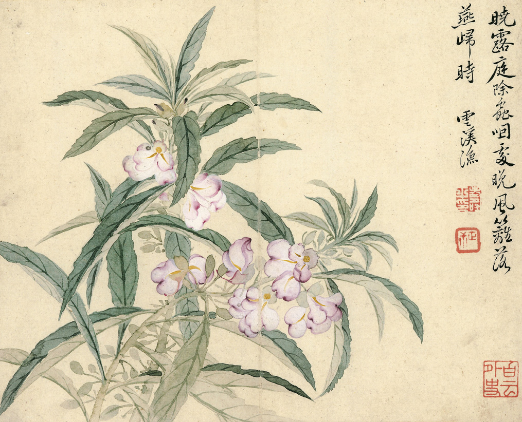 恽寿平《瓯香馆写生册》,恽氏没骨画中的精品
