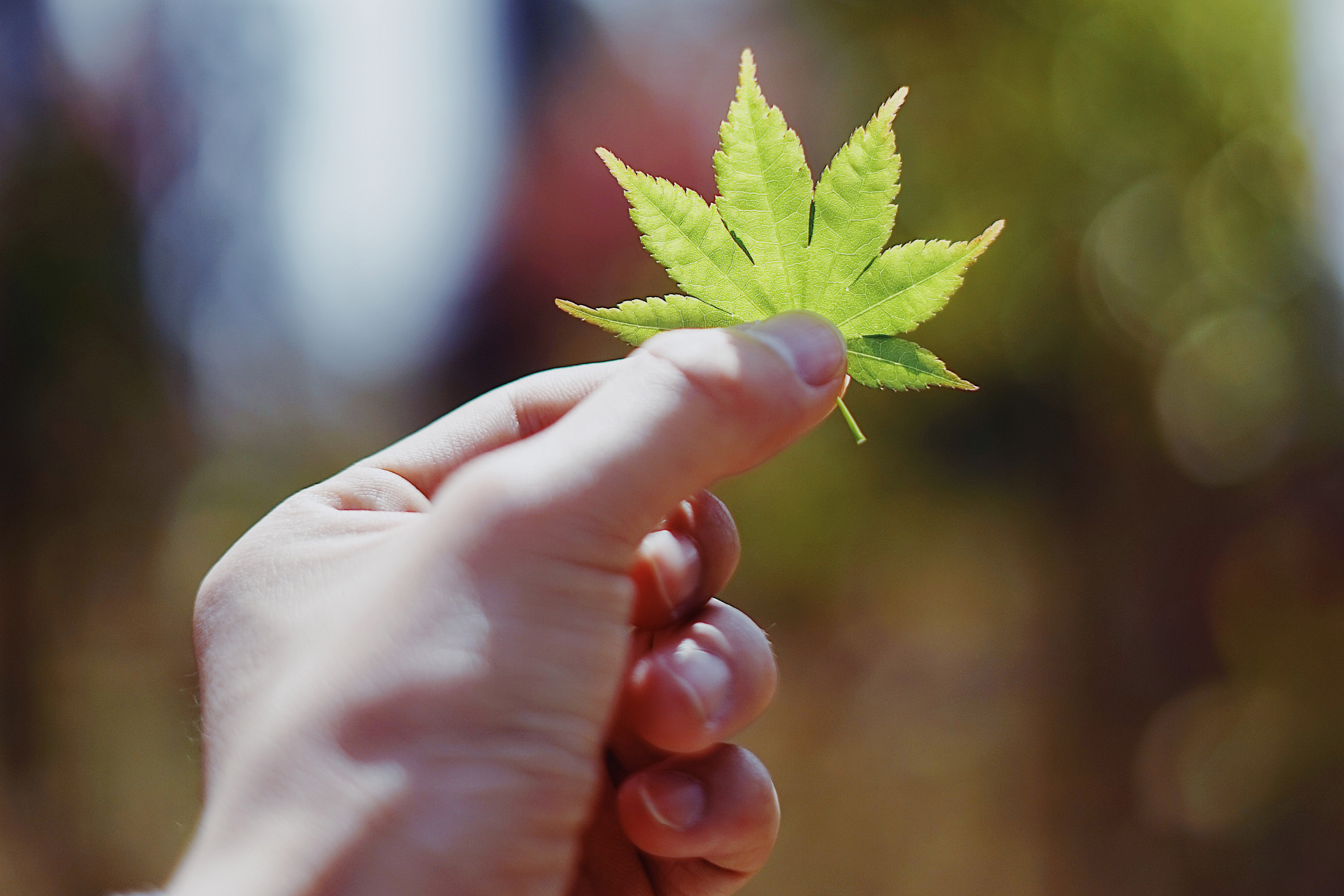 薛灵芸:我只是从你的全世界路过,没想到你认真了