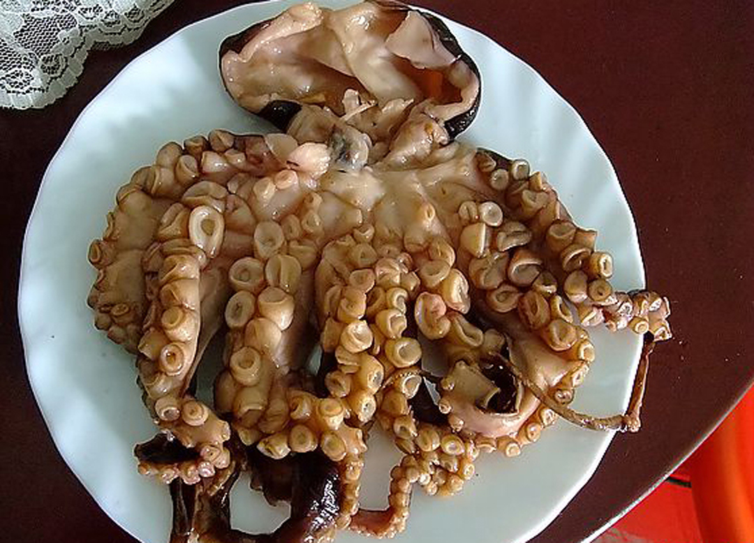 五花肉这样做香死了,香而不腻,每次都做一大碗,儿子全能吃光!