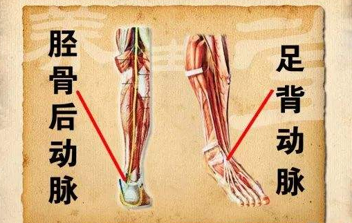 下肢血管堵不堵,看看脚或许会明白,4种方法帮你自测