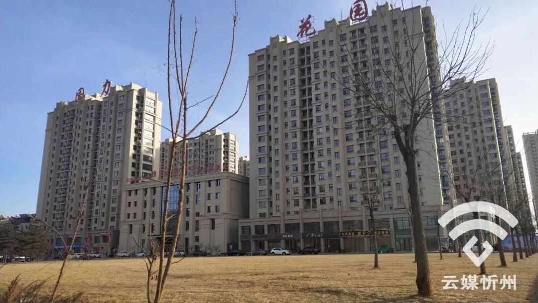 樊女士的女儿带着自家的两条宠物狗"乐乐"和"宝宝"去忻州国力花园门前