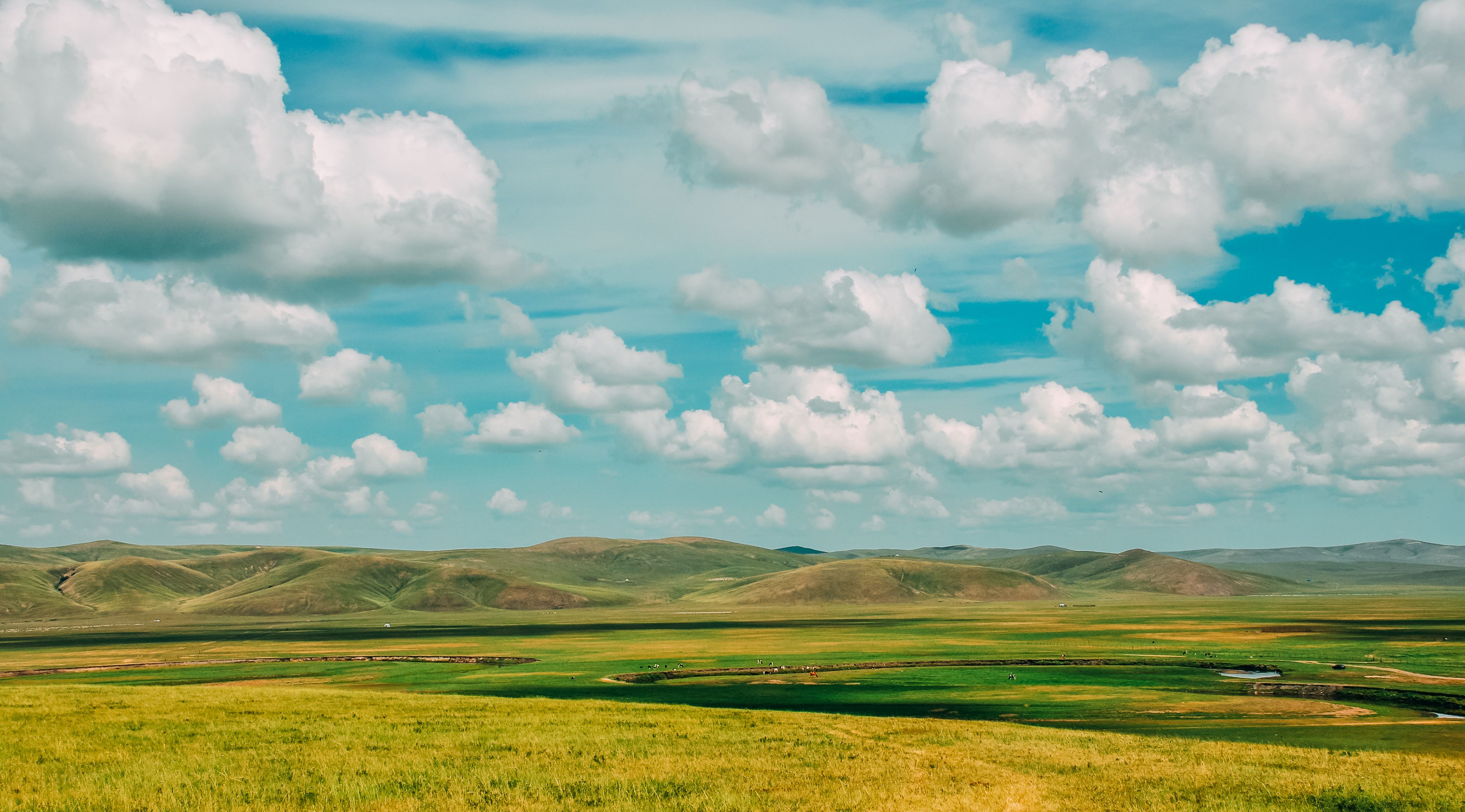 呼伦贝尔草原:游记