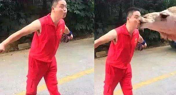 恶搞ps:求大神帮我p成驴头不对马嘴的样子,大神:太好