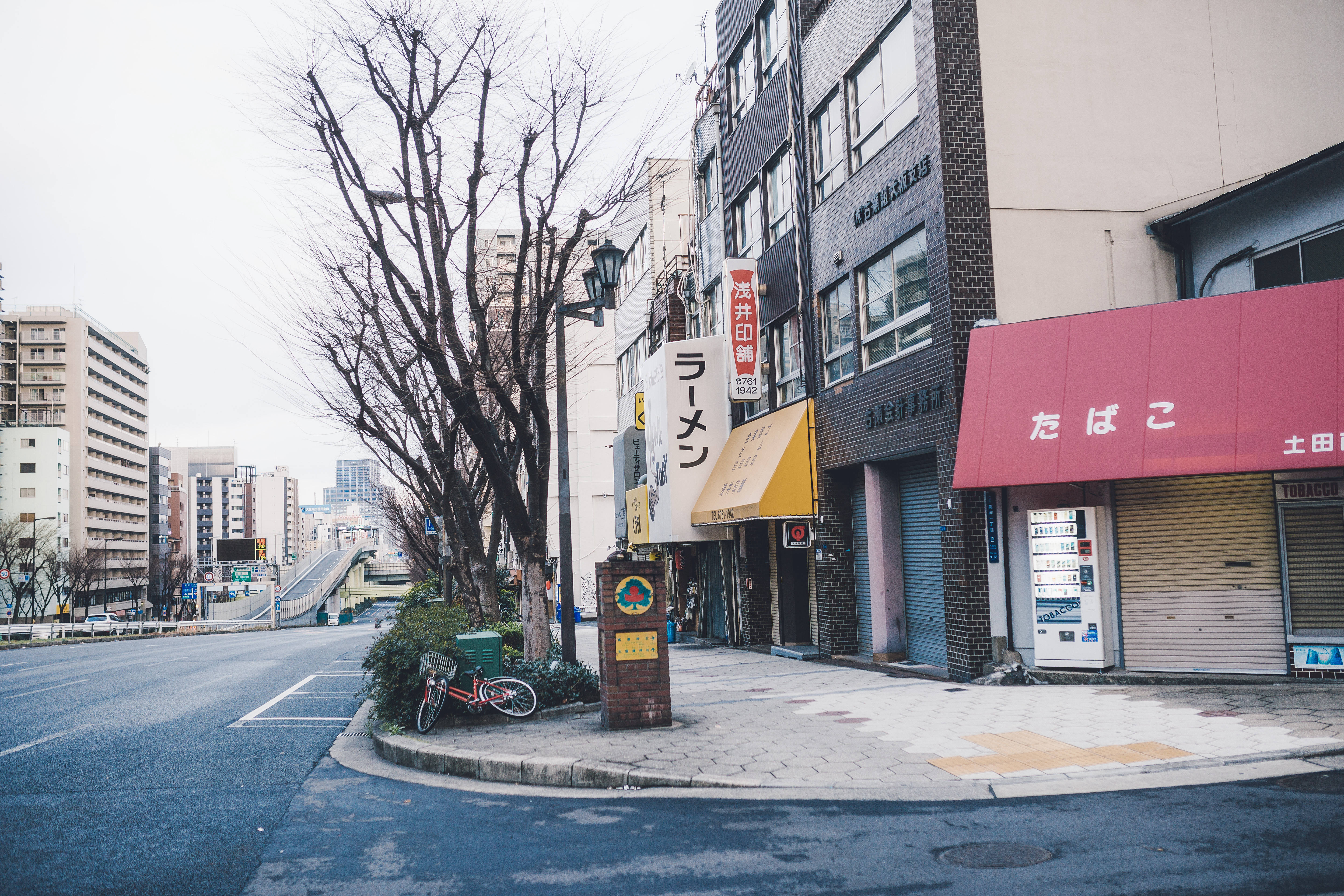 凌晨5点的大阪街道,你一定没有见过!