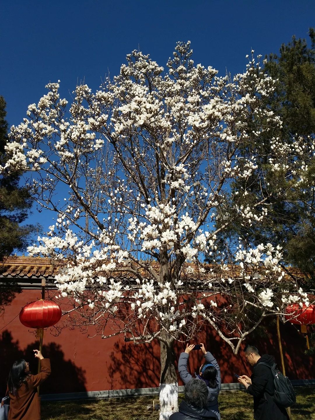 哪里的最多?哪里的最古?