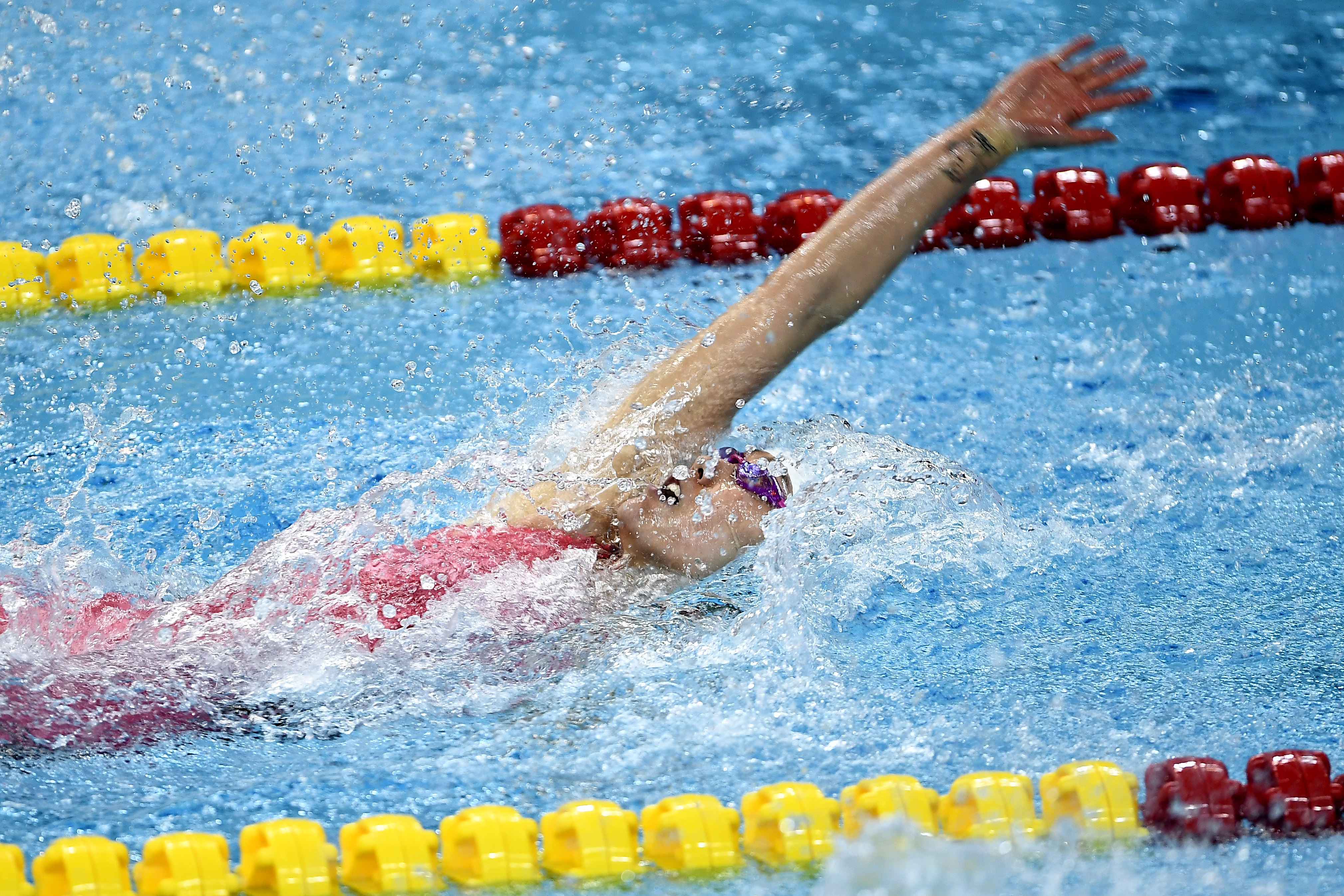游泳——世界杯:刘湘打破女子50米仰泳世界杯纪录夺冠