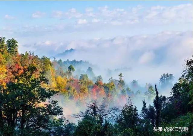 覺得昭通沒有好玩的地方?那是因為你還沒有來過這個森林公園