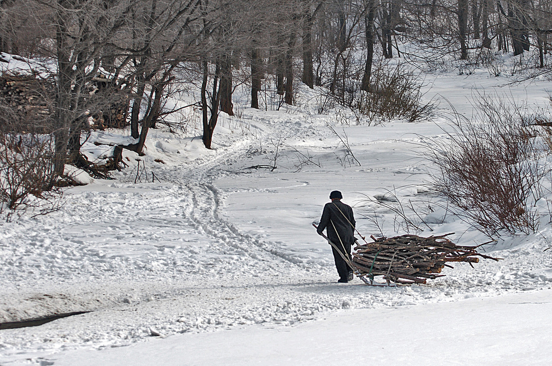 在遥远的古代,有一个勤劳的#樵夫# ,他每日都背起沉重的柴火,穿越山林