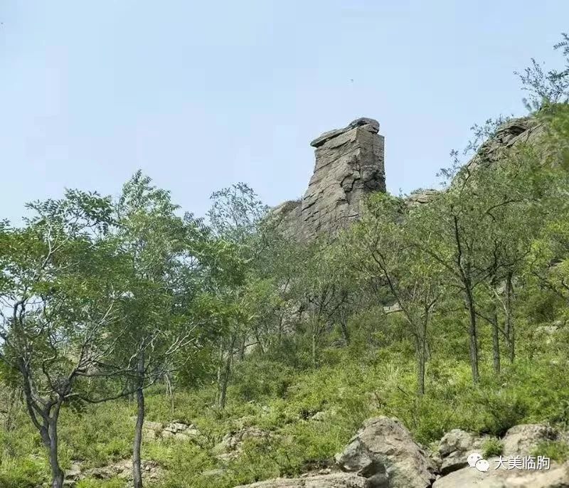 走进临朐县山旺镇尧山村