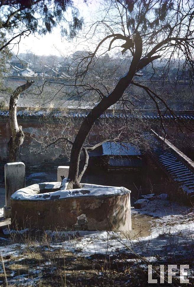 珍藏罕见老照片,1946年的北京紫禁城原来是这个样子的.