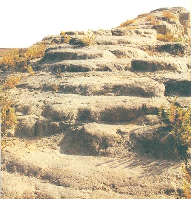 「九原春秋」麻池古城故事多|喜马拉雅同步播出