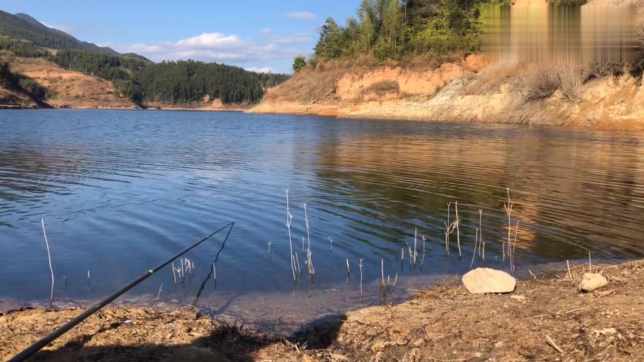 水库水源头钓马口鱼,做了调整开始连杆,还意外钓上这些胖头鱼