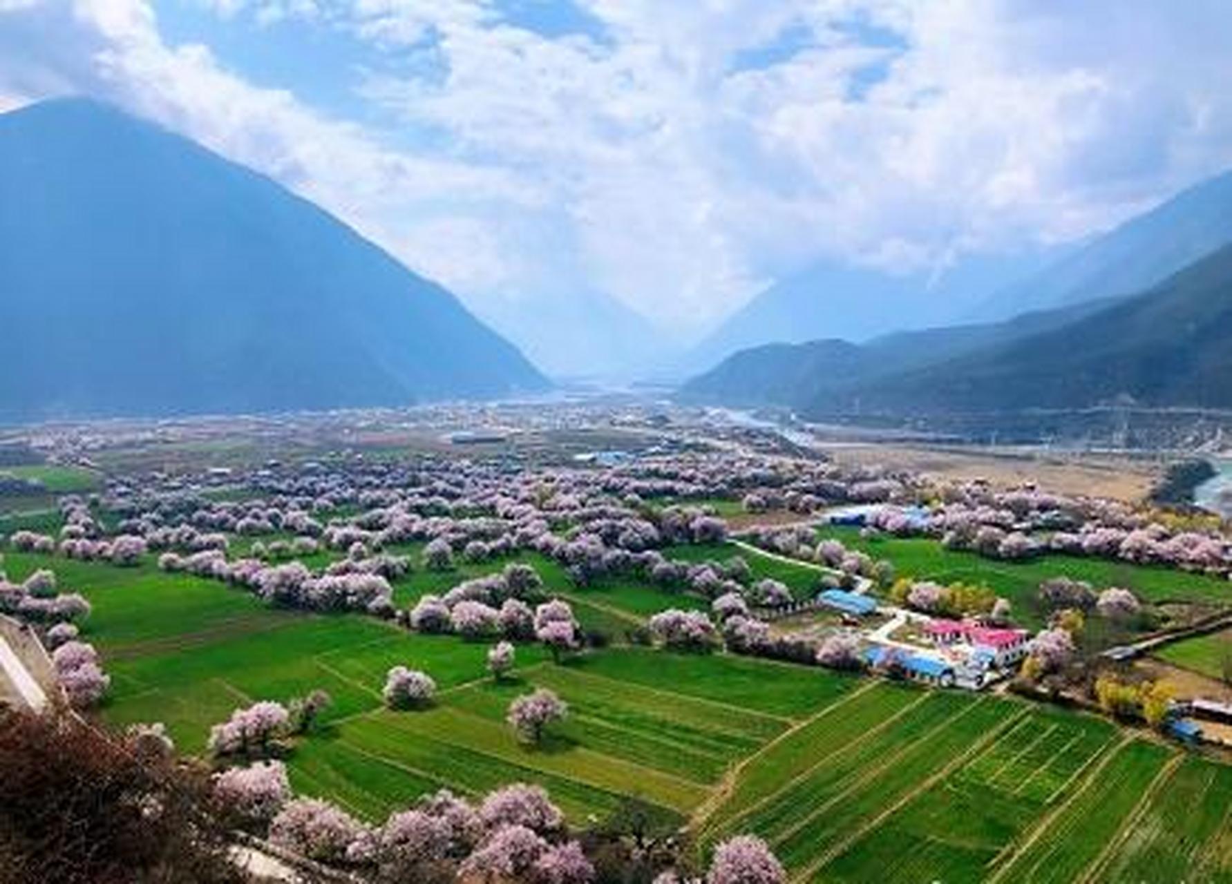 万物皆可云# 2020年西藏林芝波密倾多镇桃花#云游全世界