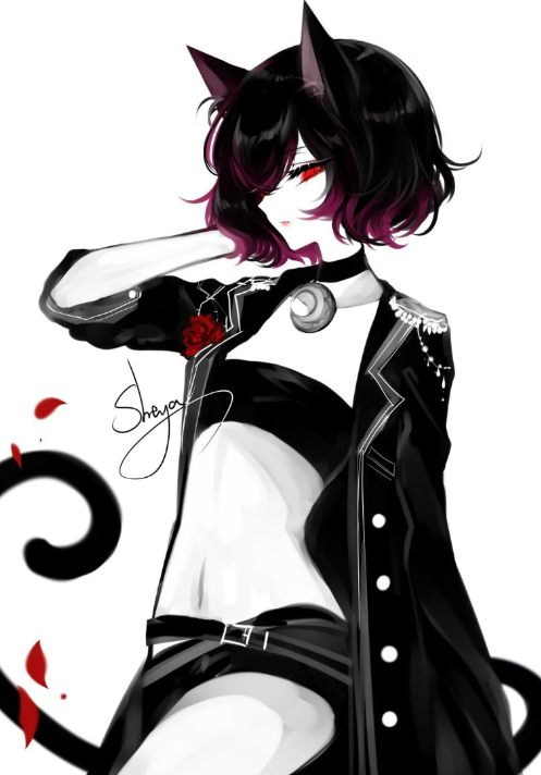 黑红系列:简单色调的搭配,不一样的美感,你喜欢吗?