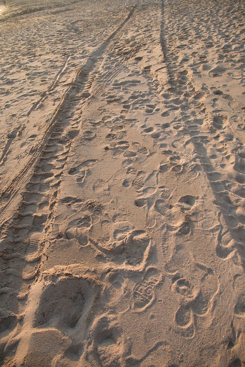 百度秋冬打卡挑战赛# 平坦的路好走,但泥泞的路上才能留下脚印.