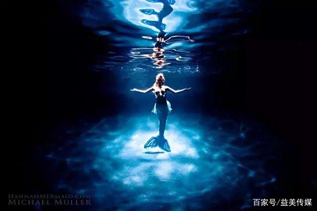 她化身美人鱼,和海豚亲吻鲨鱼共舞,遭人类围攻,这个世界怎么了 她化身美人鱼,和海豚亲吻鲨鱼共舞,遭人类围攻,这个世界怎么了