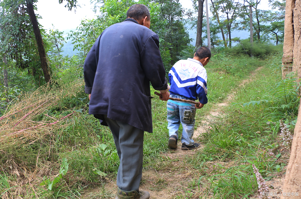 他紧紧拉着孙子石头,送往孤儿院的路上却意外发现石头并非自己的血脉