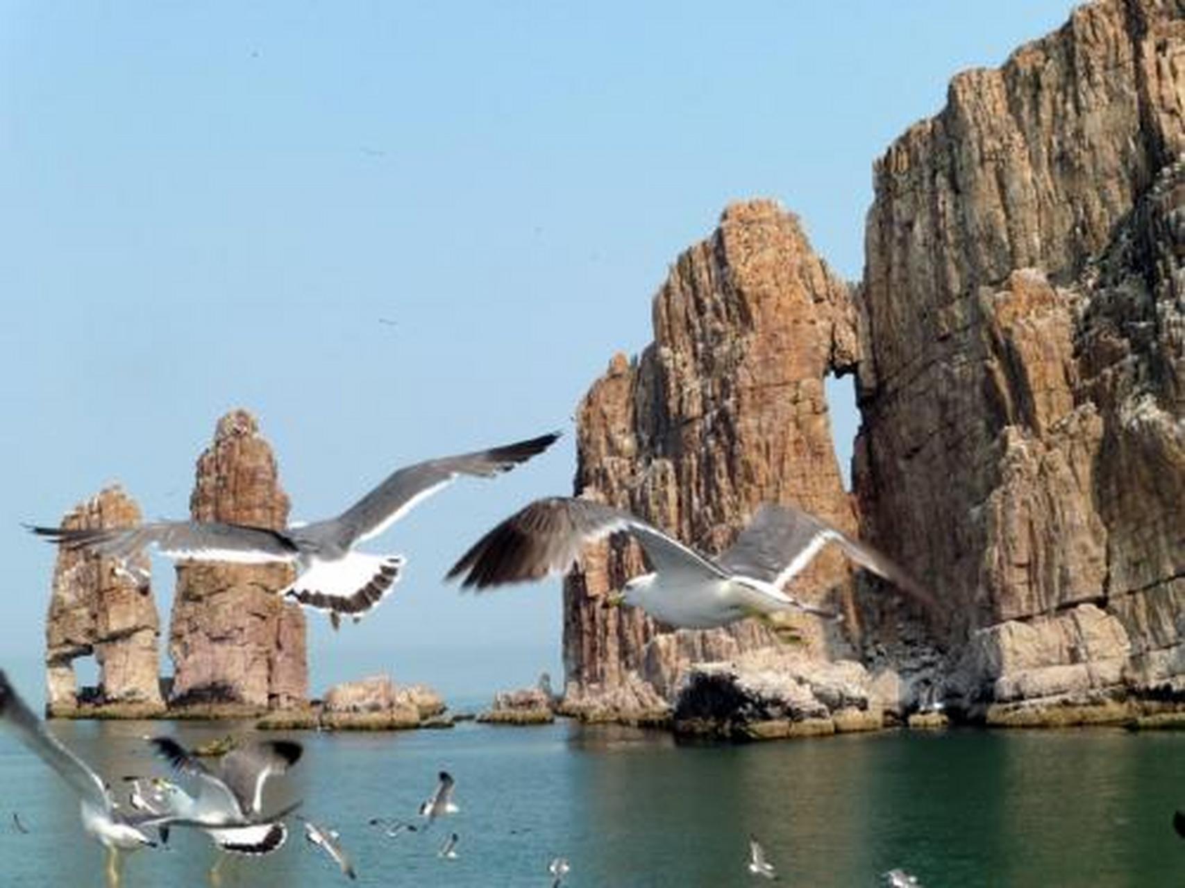 遇见美好##遇见好风景# 庙岛列岛:庙岛群岛,又称长岛,历称庙岛群岛