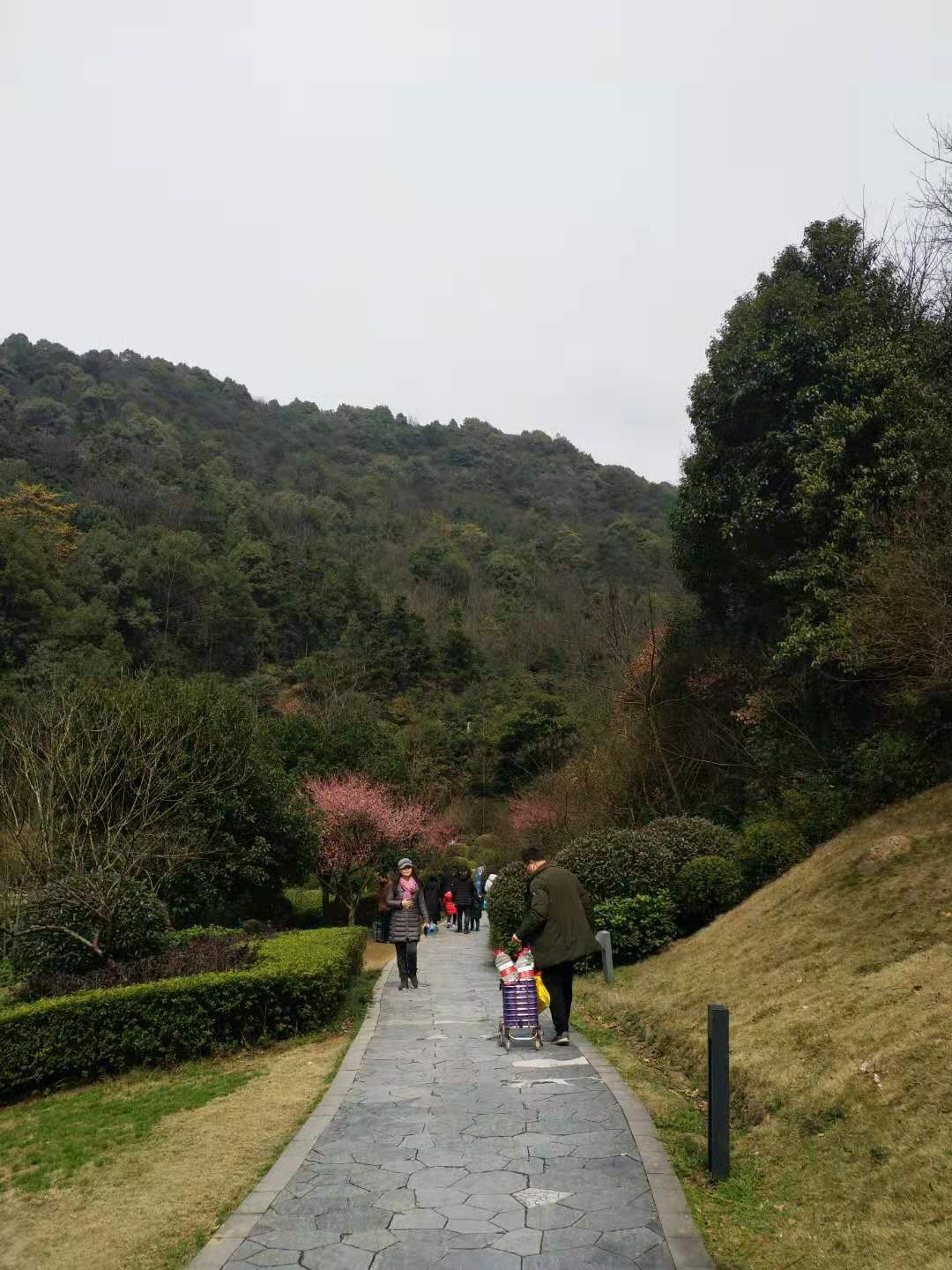 带娃去旅行之长沙梅溪湖桃花岭公园