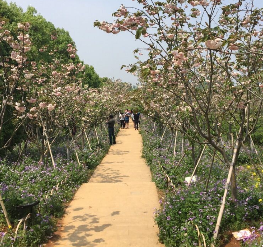 凤凰沟地处南昌县黄马乡,以农业观光旅游为主题的生态园,很优美