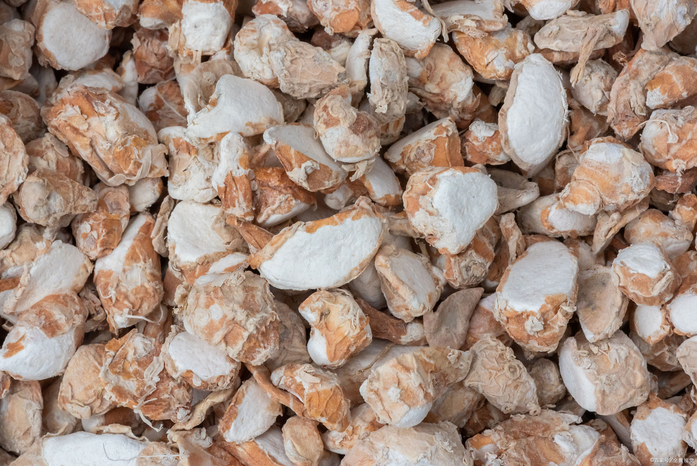 沙姜,在香料使用时我们更多的称呼它为山奈,沙姜本身的香气比起良姜要