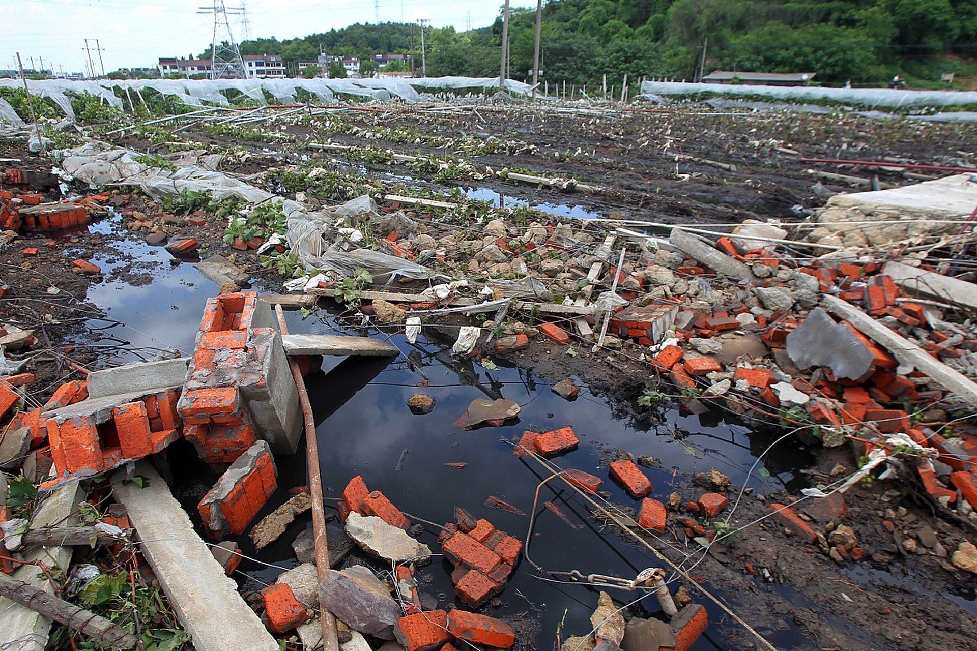 大会上强调,为推进福岛核电机组退役工作,核污染水排海计划无法延期