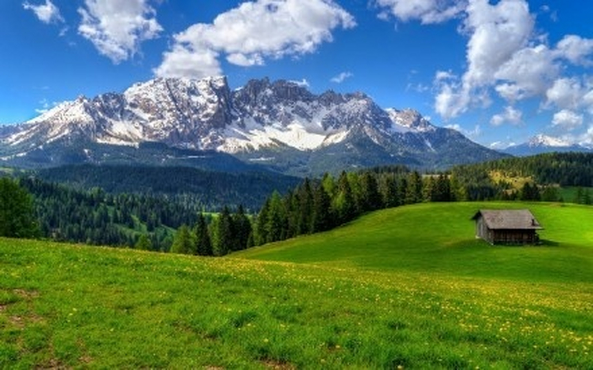 少走了弯路,也就错过了风景,无论如何,感谢经历;生活的主题就是面对