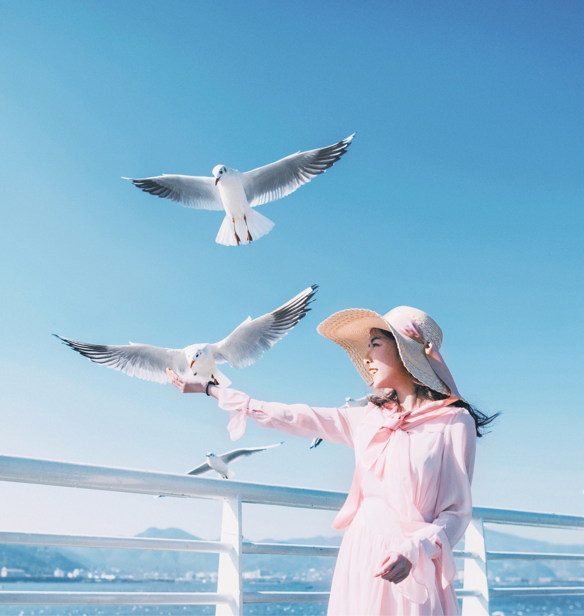 女生背影头像带海鸥图片