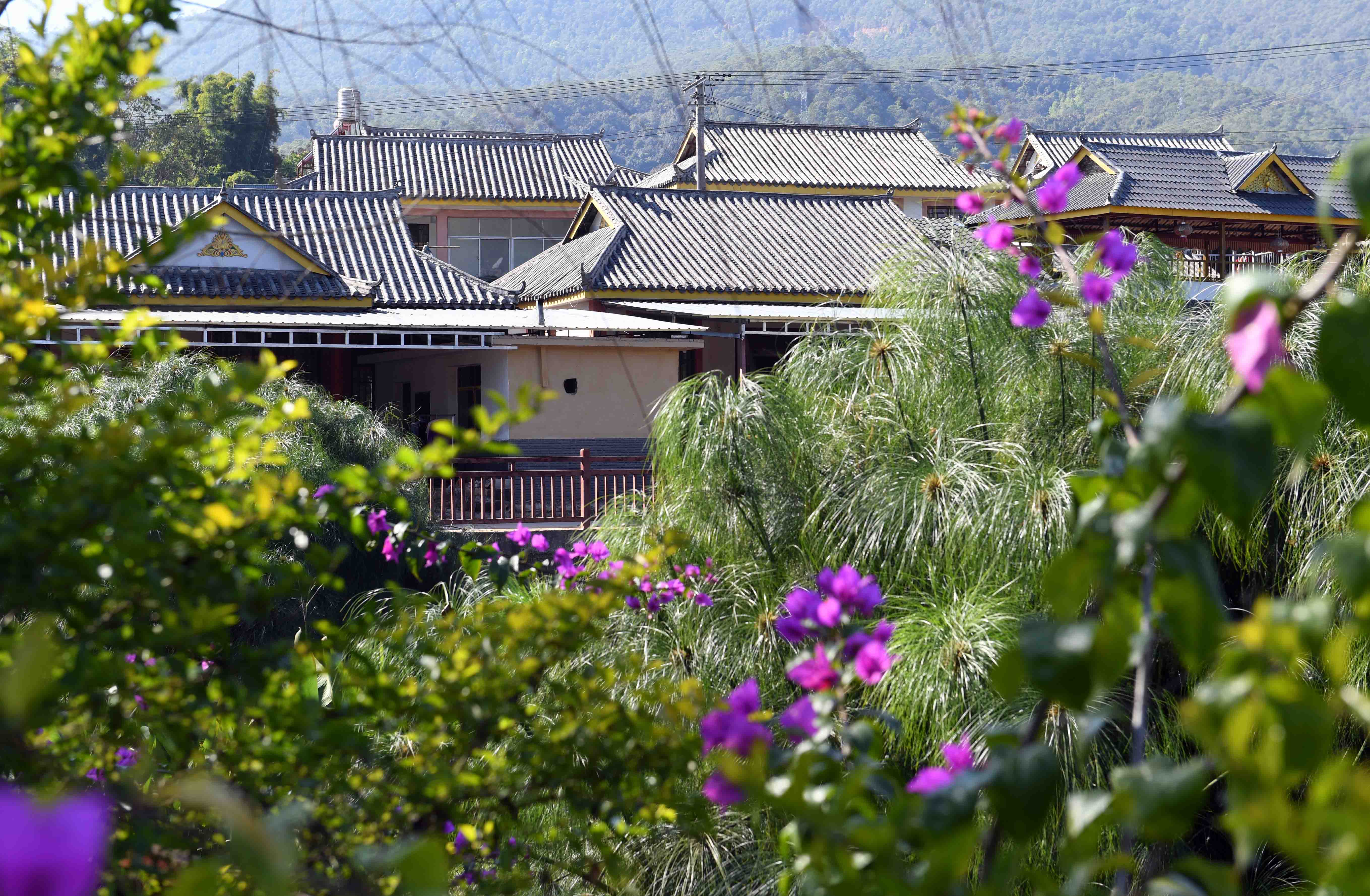 云南景谷:昔日地震灾区 而今美丽乡村