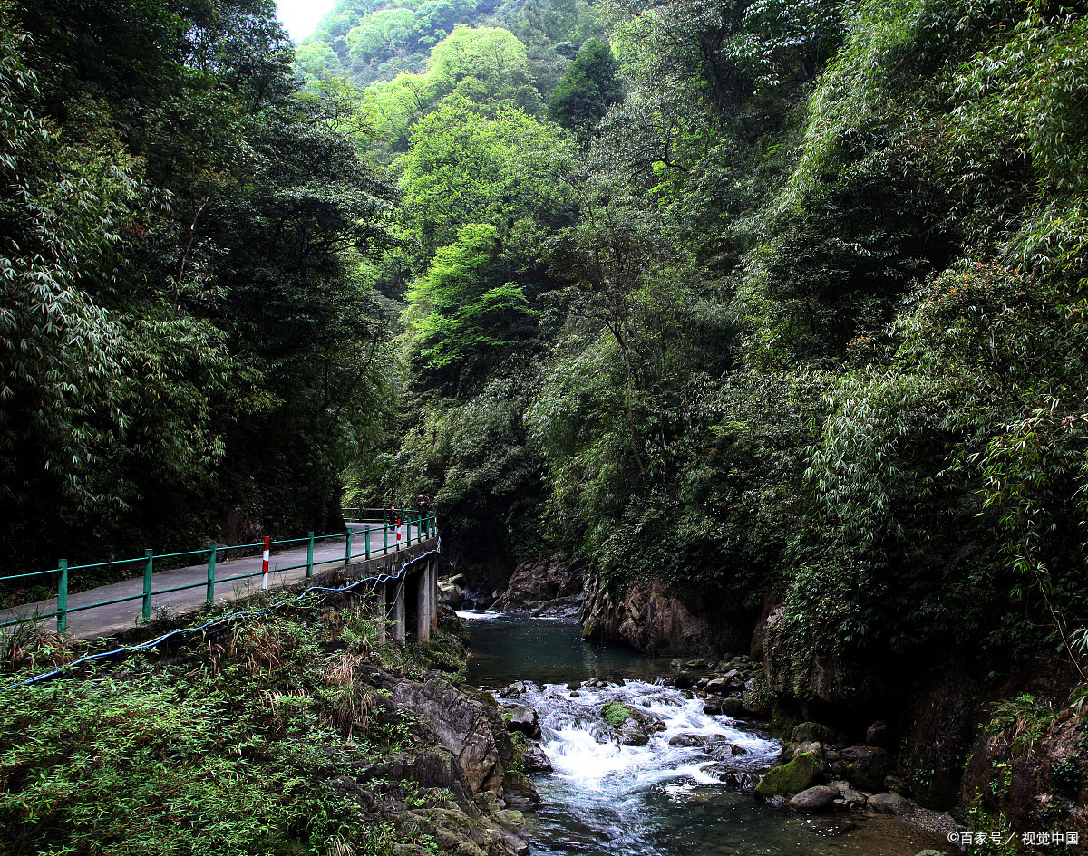 雅安碧峰峡旅游攻略图片