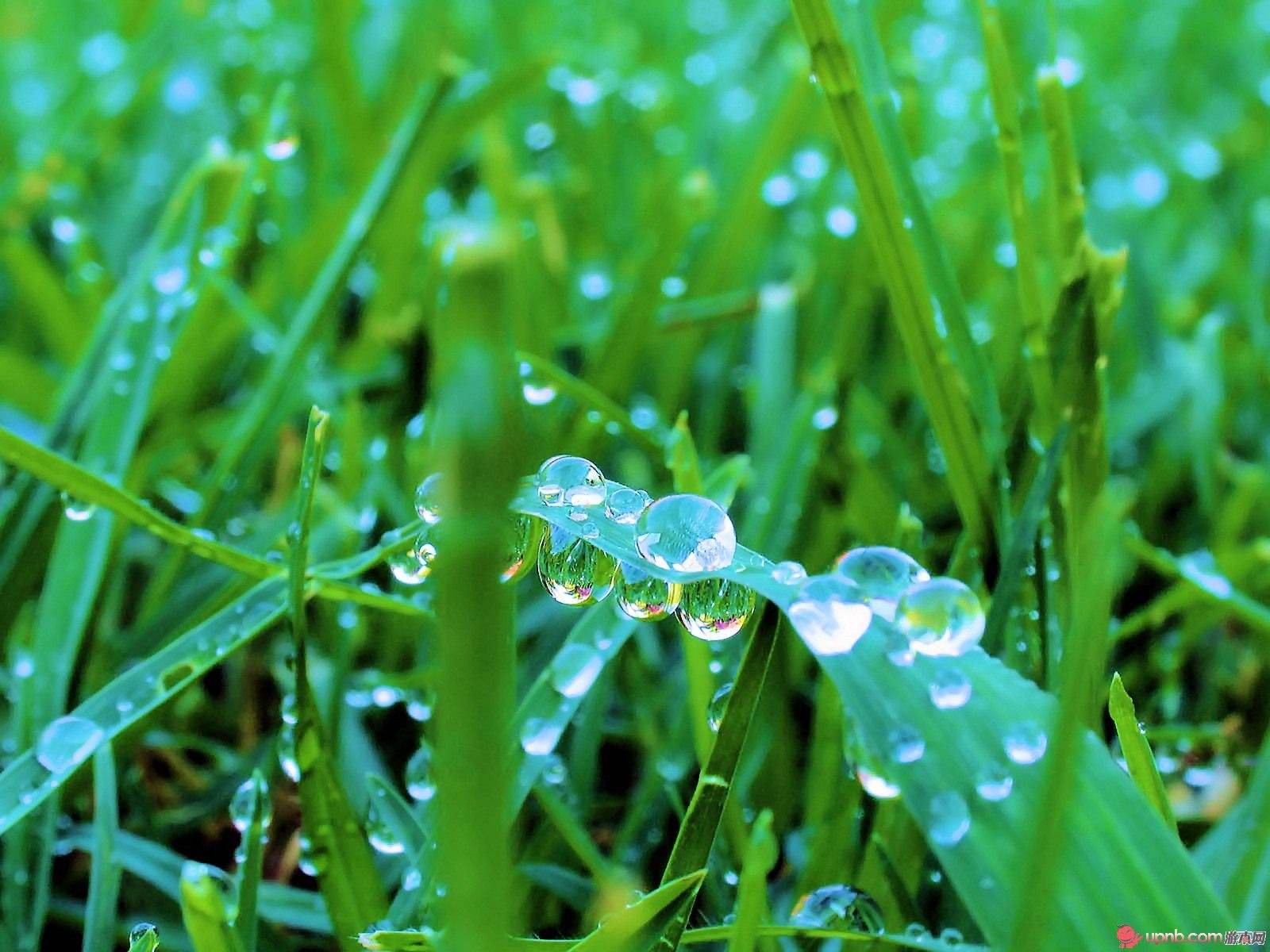 高清护眼美图,可做屏保,爱护眼睛从细节做起.