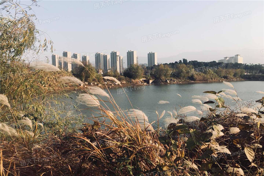 九江九龙新城怎么样 九江九龙新城房价走势