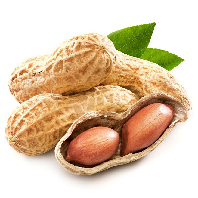 花生 红皮 - 2020年最新商品信息聚合专区 - 百度爱采购