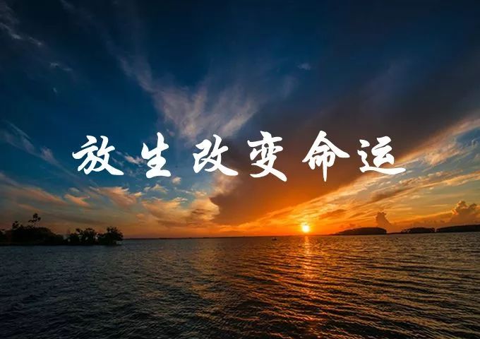 放生,改变命运,治病救人,一条绝处逢生之路,切莫断掉!
