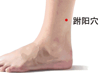 中医调理急性腰扭伤之法,按摩跗阳穴!