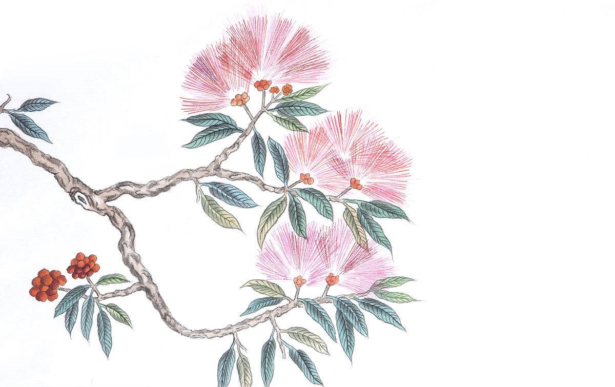 《陌上花》:九字情书,道不尽历史沧桑