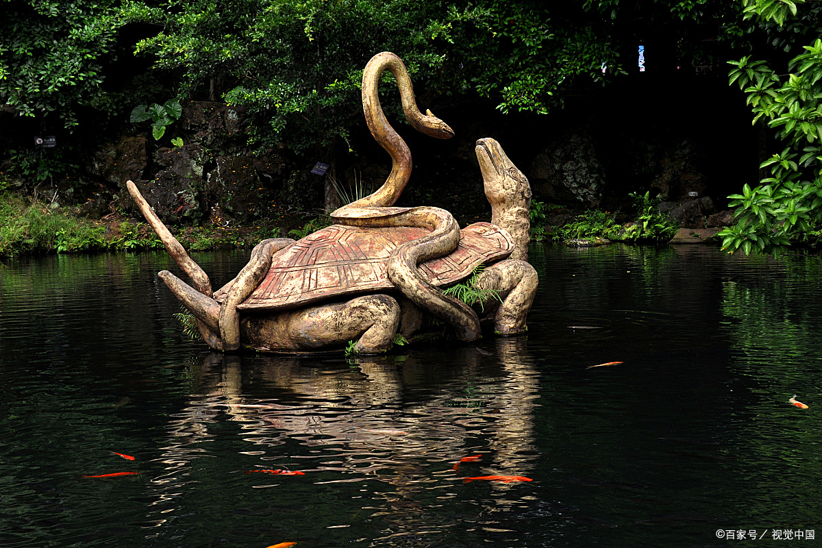 乌龟被蛇缠住,以为难逃一死,结果反杀了!