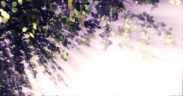 你们带给我的春天