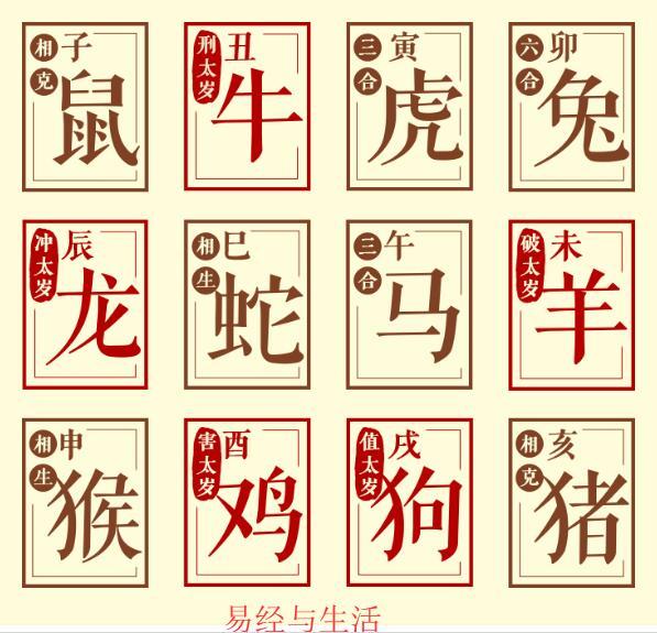 生肖运势详细解说图表(生肖运势详细解说图表大全)