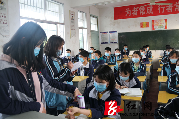 保靖县雅丽中学校花图片