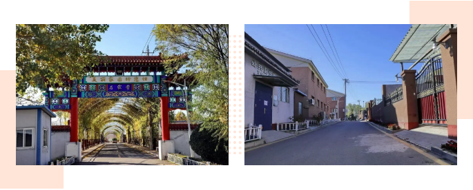 顺义区马坡镇六个"强化"全面推进垃圾分类工作!