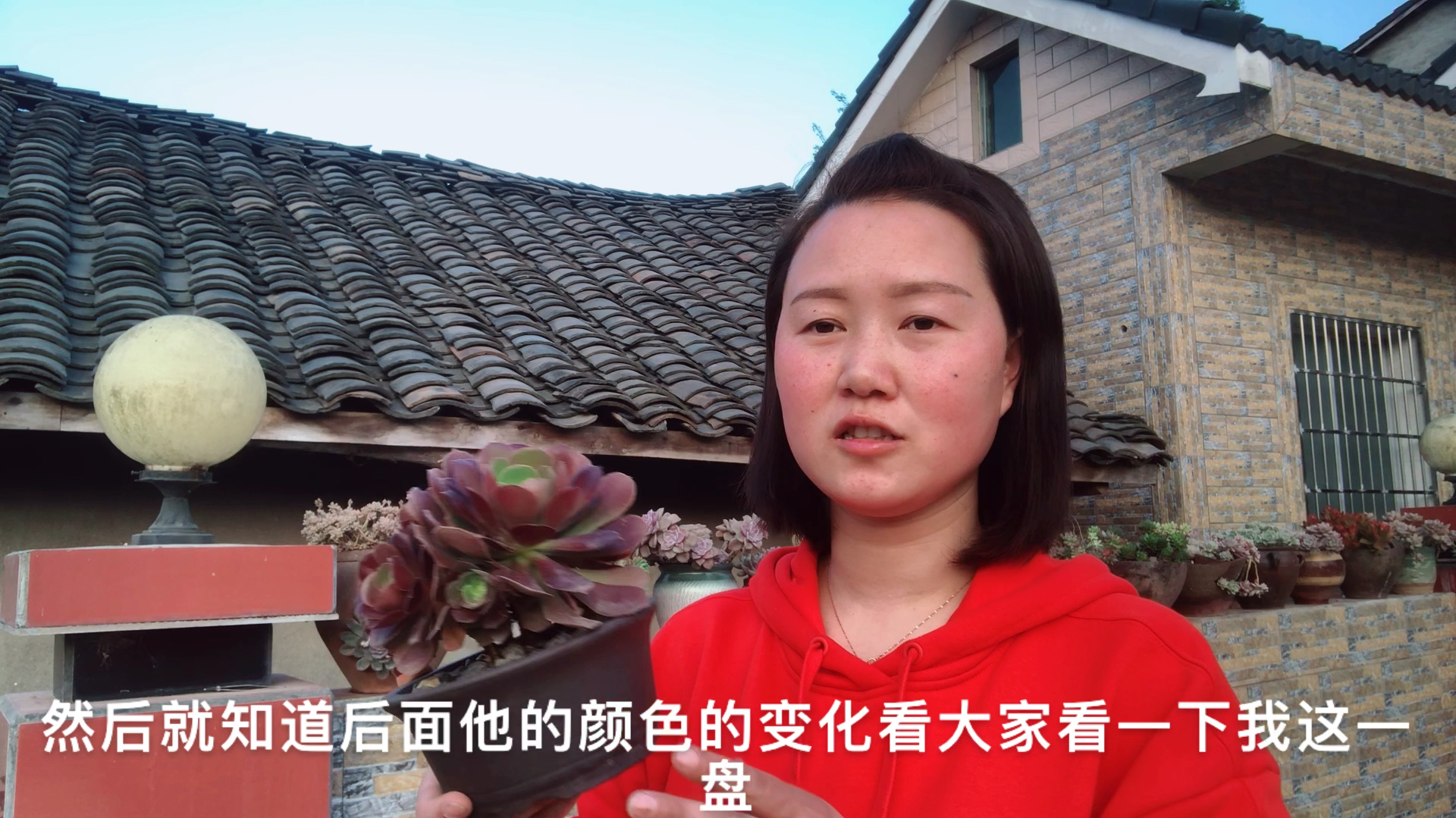 送你多肉的人,都是“坏人”,网友:“坏人”我们来偶遇吧!