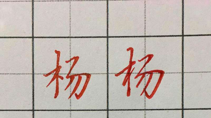每日一字,杨字的书写技巧,文化历史,文化艺术,好看视频