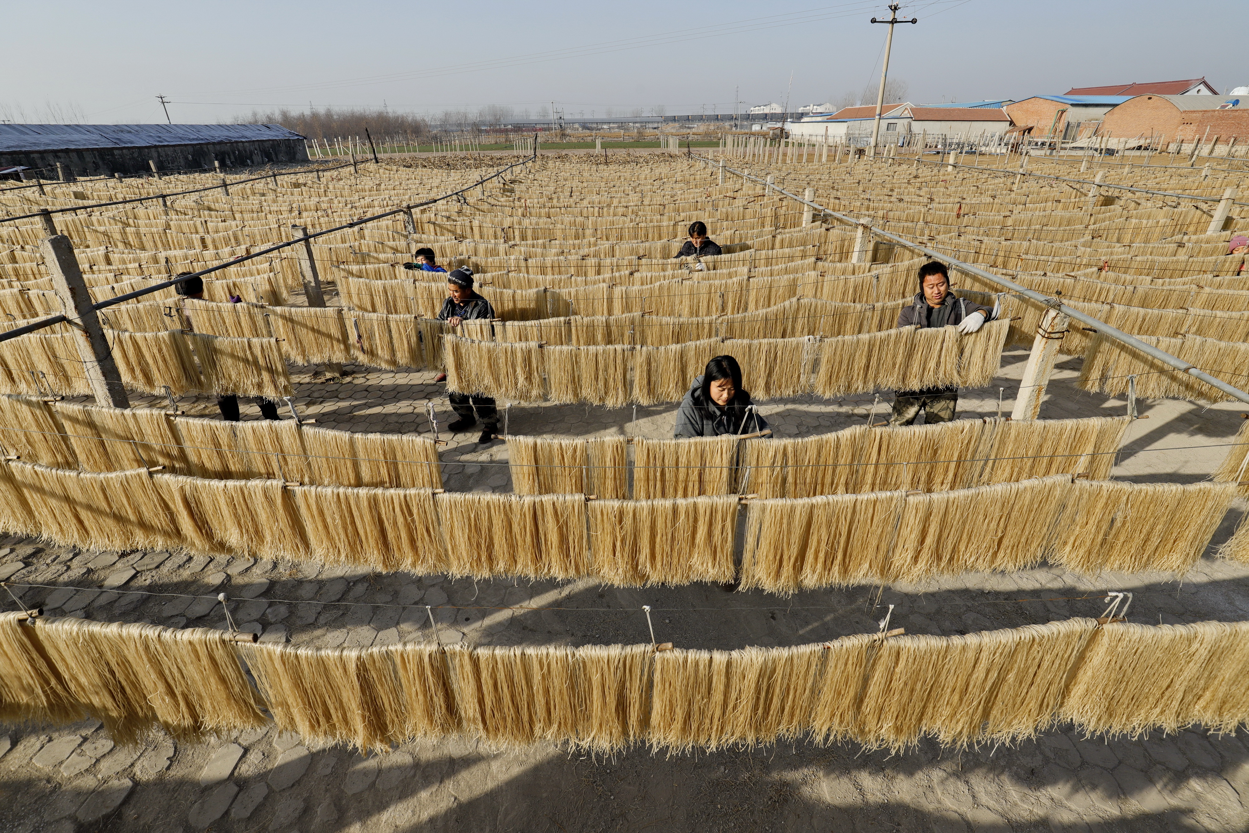 河北遵化:晒粉条 忙增收