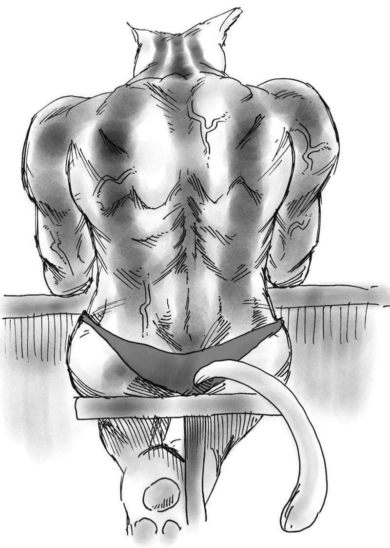 神角度下的猫咪界的肌肉男,网友漫画化以后更威猛