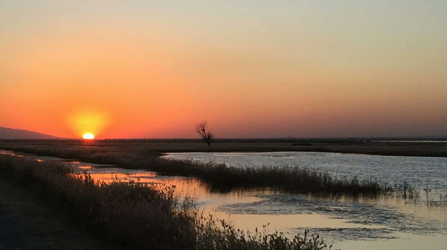 太阳照在桑干河上